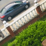 The cool  kid  squad  123