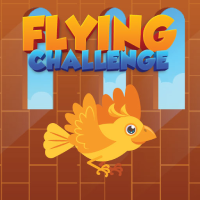 Flying Challenge Game