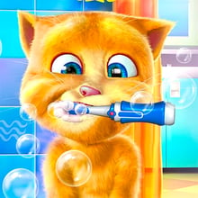 Cat Dentist Game