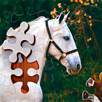 Jigsaw Puzzle Horses Edition Game