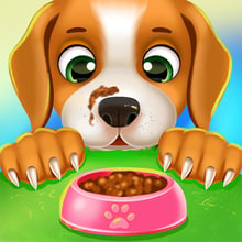 Funny Puppy Pet Care Game