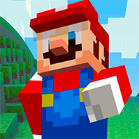 Super Mario MineCraft 3D Game