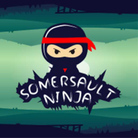 Somersault Ninja Game