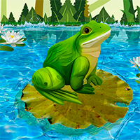 Froggie Jumping Puzzle Game