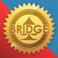 Bridge Game