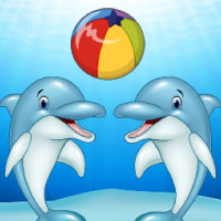 Dolphin Show Game