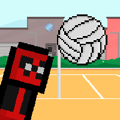 Les jeux de volley-ball